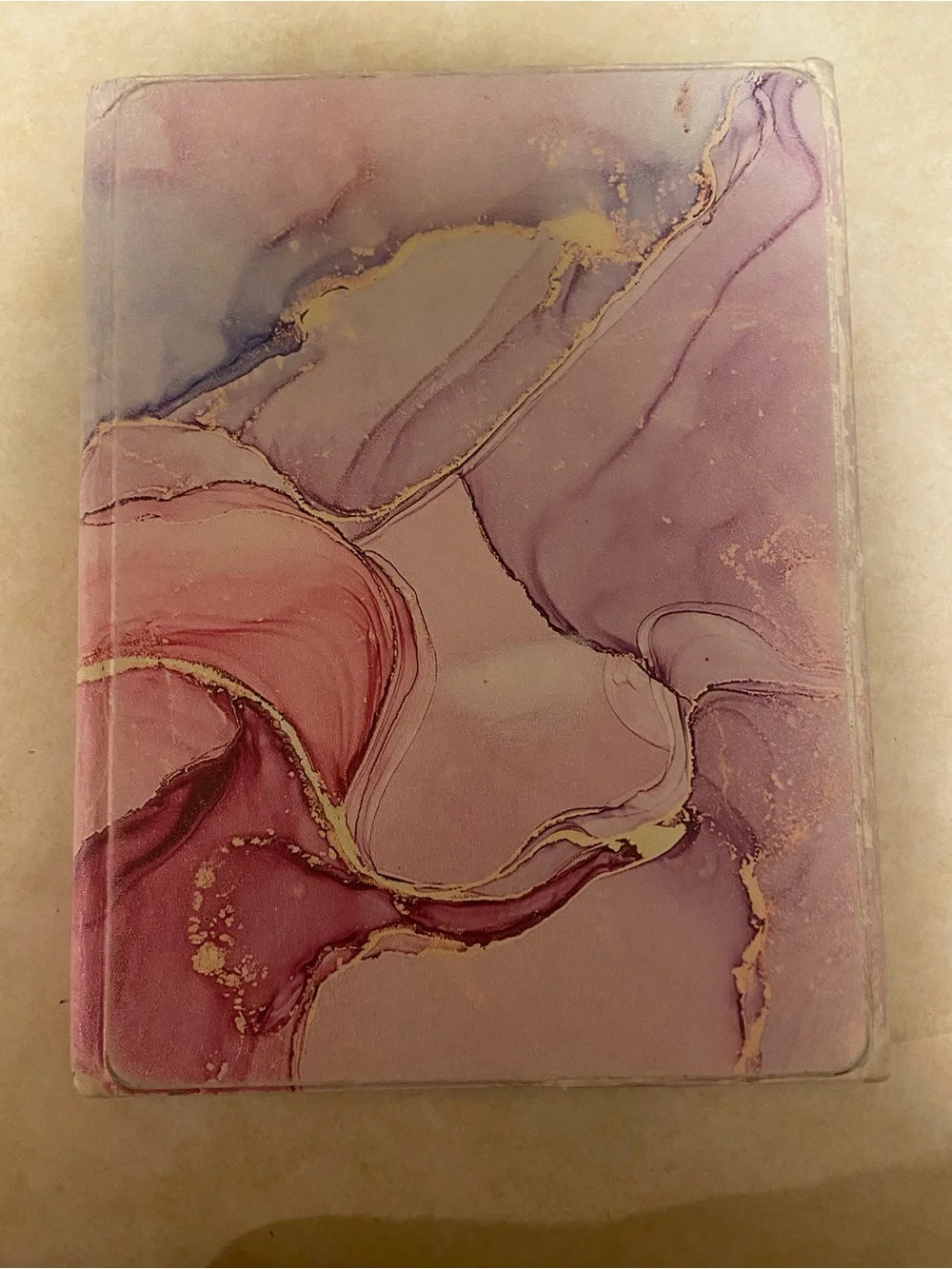 8th Generation Apple iPad with Case